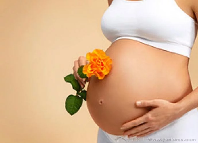 混合方案：7+21模式