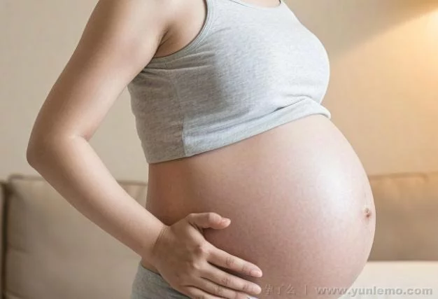 重庆坐月子 - 价格构成与性价比