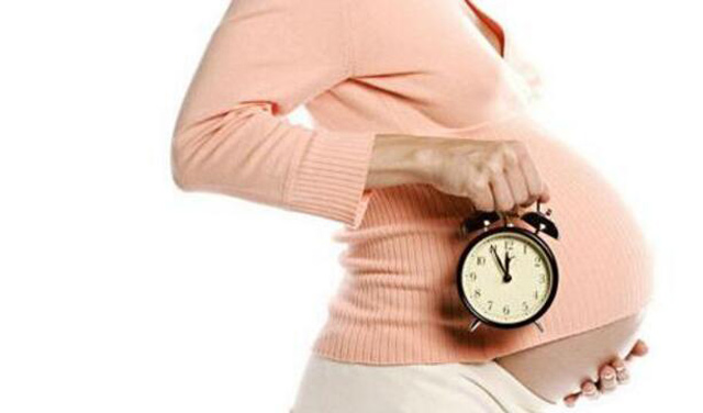 东营宝贝天使月嫂公司