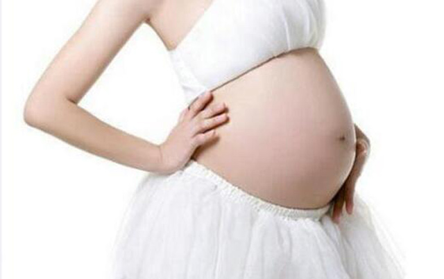 洛阳宝贝天使月嫂公司